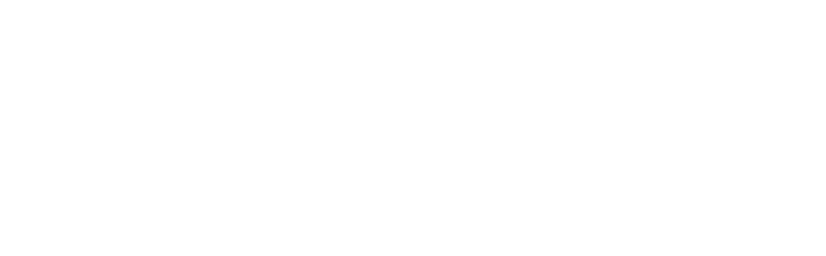 Molina Trading