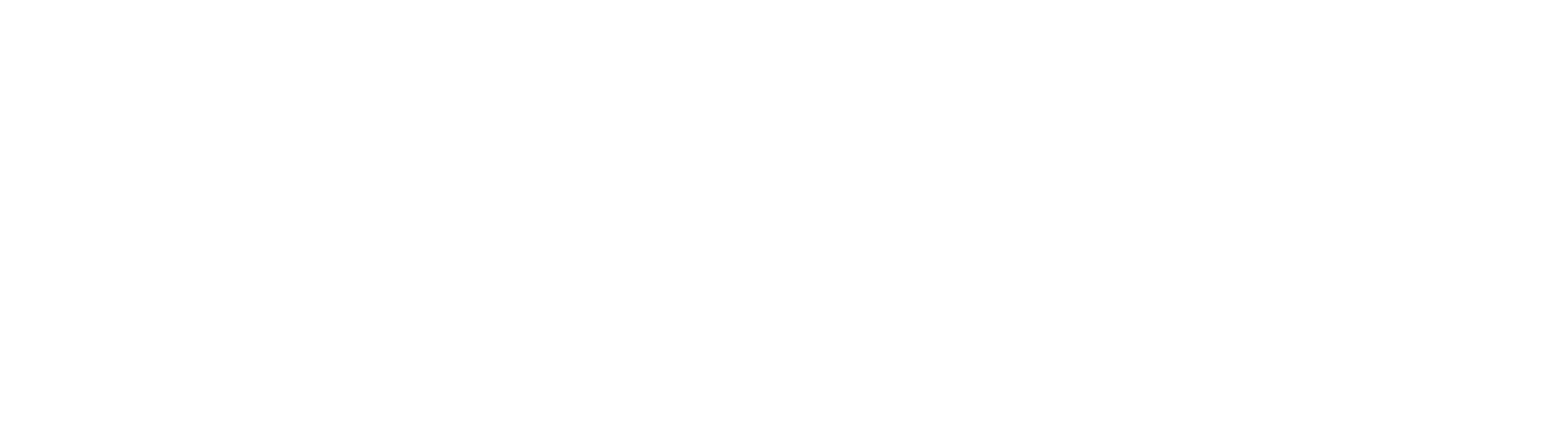 MGS — Molina Garage Services